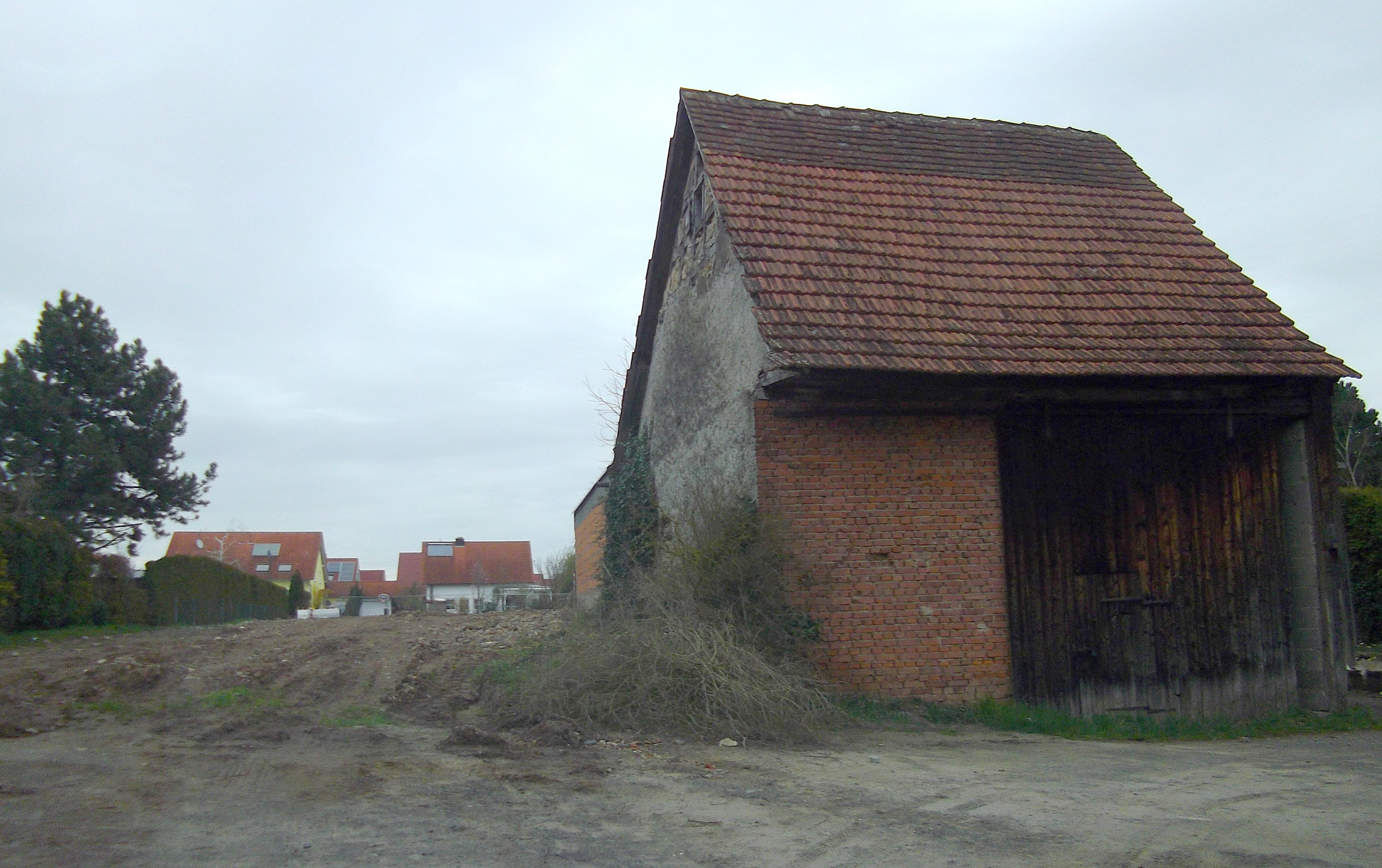 Albumbilder